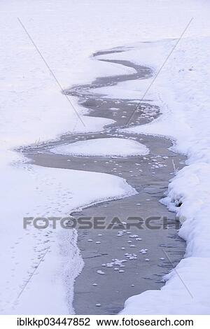 "Snow and ice in a drained carp pond, animal tracks in the snow alongside a stream, Uhyst, Saxony, Germany, Europe" View Large Photo Image Stock Image - "Snow and ice in a drained carp pond, animal tracks in the snow alongside a stream, Uhyst, Saxony, Germany, Europe". Fotosearch