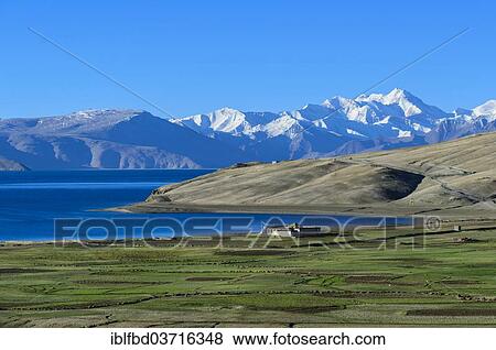 "Snow covered mountains behind Tsomoriri or Lake Moriri, 4. 595 m, Korzok, Ladakh, Jammu and Kashmir, India, Asia" View Large Photo Image Stock Photo - "Snow covered mountains behind Tsomoriri or Lake Moriri, 4. 595 m, Korzok, Ladakh, Jammu and Kashmir, India, Asia". Fotosearch