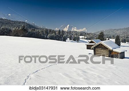 "Snow-covered pastures and hay barns, Zugspitze massif at back, Mittenwald, Upper Bavaria, Bavaria, Germany, Europe" View Large Photo Image Stock Image - "Snow-covered pastures and hay barns, Zugspitze massif at back, Mittenwald, Upper Bavaria, Bavaria, Germany, Europe". Fotosearch