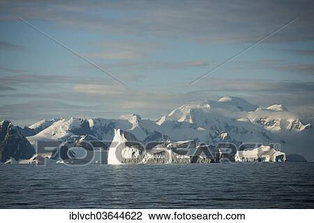 Stock Image - "Snow-covered rocks, icebergs, in the morning light, Antarctic Peninsula, Antarctica". Fotosearch