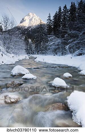 "Snow-covered trees by the Ampelsbachl stream winter, in the back of Mt. Guffert, Achen valley, Tyrol, Austria, Europe" View Large Photo Image Stock Image - "Snow-covered trees by the Ampelsbachl stream winter, in the back of Mt. Guffert, Achen valley, Tyrol, Austria, Europe". Fotosearch