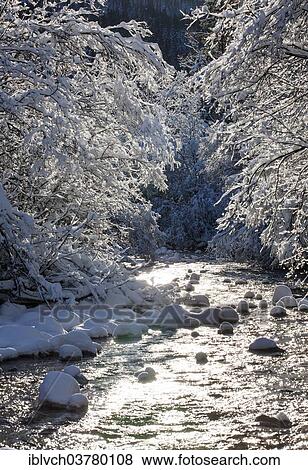 "Snow-covered trees by the Ampelsbachl stream in winter, Achen Valley, Tyrol, Austria, Europe" View Large Photo Image Stock Photo - "Snow-covered trees by the Ampelsbachl stream in winter, Achen Valley, Tyrol, Austria, Europe". Fotosearch