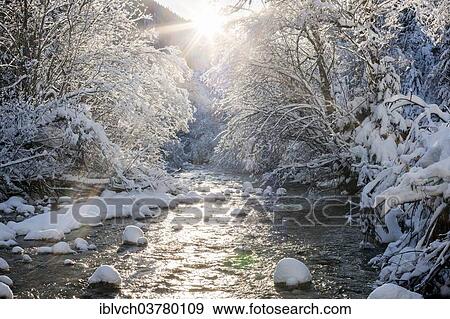 "Snow-covered trees by the Ampelsbachl stream in winter, Achen Valley, Tyrol, Austria, Europe" View Large Photo Image Stock Photo - "Snow-covered trees by the Ampelsbachl stream in winter, Achen Valley, Tyrol, Austria, Europe". Fotosearch