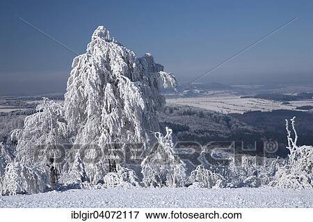 Stock Photo - "Snow covered trees, winter landscape in the Ore Mountains, Saxony, Germany, Europe". Fotosearch