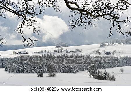 "Snow-covered winter landscape, Breitnau, Black Forest, Baden-Wurttemberg, Germany, Europe" View Large Photo Image Stock Photography - "Snow-covered winter landscape, Breitnau, Black Forest, Baden-Wurttemberg, Germany, Europe". Fotosearch