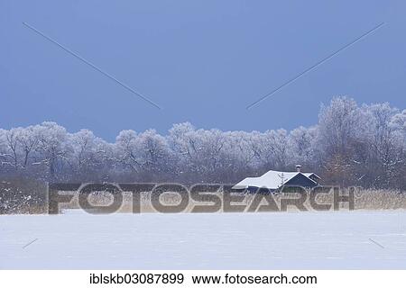 "Snow-covered winter landscape with a wooden house in a reed bed, Ammersee, Diessen, Upper Bavaria, Bavaria, Germany, Europe" View Large Photo Image Stock Photo - "Snow-covered winter landscape with a wooden house in a reed bed, Ammersee, Diessen, Upper Bavaria, Bavaria, Germany, Europe". Fotosearch