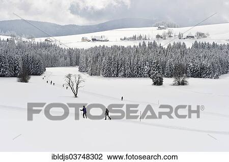 "Snow-covered winter landscape with cross-country skiers, Breitnau, Black Forest, Baden-Wurttemberg, Germany, Europe" View Large Photo Image Stock Image - "Snow-covered winter landscape with cross-country skiers, Breitnau, Black Forest, Baden-Wurttemberg, Germany, Europe". Fotosearch
