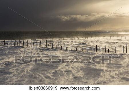 Stock Photo - "Snow drifts in the fjord, near Kiberg, Varangerfjord, Finnmark County, Norway, Europe". Fotosearch