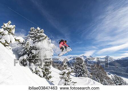 "Snowboarder jumping over trees, St. Moritz, Engadin, Graubunden, Switzerland, Europe" View Large Photo Image Stock Image - "Snowboarder jumping over trees, St. Moritz, Engadin, Graubunden, Switzerland, Europe". Fotosearch
