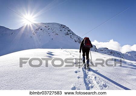 "Snowshoe hiker ascending Schwarzhorn Mountain on Jochgrimm, South Tyrol province, Trentino-Alto Adige, Italy, Europe" View Large Photo Image Stock Image - "Snowshoe hiker ascending Schwarzhorn Mountain on Jochgrimm, South Tyrol province, Trentino-Alto Adige, Italy, Europe". Fotosearch