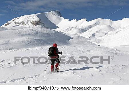 "Snowshoe hiker in front of the massif of Monte Sella di Senes, 2787m, Fanes-Senes-Prague Nature Park, Dolomiti di Braies, Italy, Europe" View Large Photo Image Stock Photography - "Snowshoe hiker in front of the massif of Monte Sella di Senes, 2787m, Fanes-Senes-Prague Nature Park, Dolomiti di Braies, Italy, Europe". Fotosearch