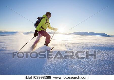 "Snowshoe walker on Rodtinden, Kvaloya, Tromso, Troms, Norway, Europe" View Large Photo Image Stock Photo - "Snowshoe walker on Rodtinden, Kvaloya, Tromso, Troms, Norway, Europe". Fotosearch