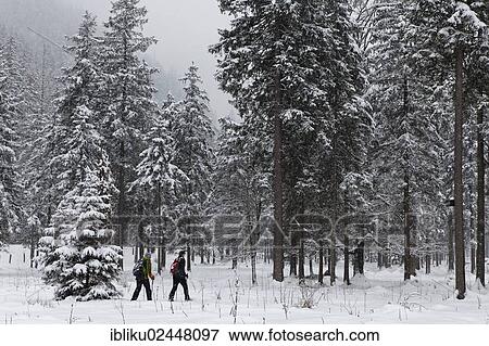 "Snowshoeing in Klausbachtal, Berchtesgaden National Park, Berchtesgadener Land, Bavaria, Germany, Europe" View Large Photo Image Stock Photo - "Snowshoeing in Klausbachtal, Berchtesgaden National Park, Berchtesgadener Land, Bavaria, Germany, Europe". Fotosearch