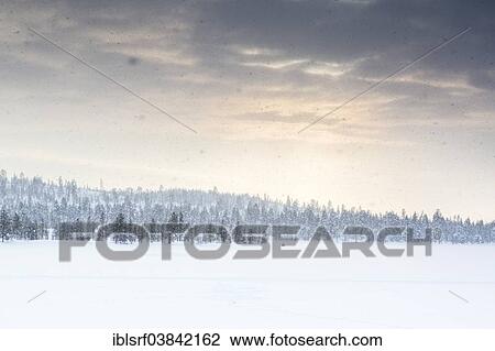 "Snowy landscape, near Inari, Finland, Europe" View Large Photo Image Stock Image - "Snowy landscape, near Inari, Finland, Europe". Fotosearch