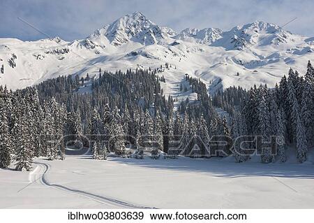 Stock Photo - "Snowy mountain landscape with fir forest, Kristbergbahn panoramic ski run, Silbertal, Montafon, Vorarlberg, Austria, Europe". Fotosearch