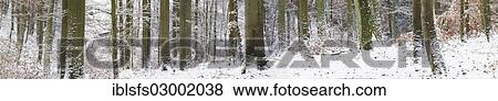 "Snowy winter forest, beech forest and oak forest, Mittelgebirge or Central German Uplands, Westerwald, Solms, Lahn-Dill district, Hesse, Germany, Europe, Solms, Hesse, Germany, Europe" View Large Photo Image Stock Photo - "Snowy winter forest, beech forest and oak forest, Mittelgebirge or Central German Uplands, Westerwald, Solms, Lahn-Dill district, Hesse, Germany, Europe, Solms, Hesse, Germany, Europe". Fotosearch