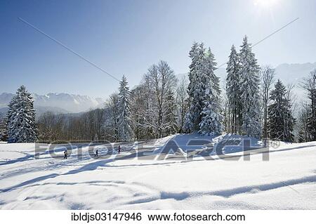 "Snowy winter landscape, Eckbauer, Garmisch-Partenkirchen, Upper Bavaria, Bavaria, Germany, Europe" View Large Photo Image Stock Photograph - "Snowy winter landscape, Eckbauer, Garmisch-Partenkirchen, Upper Bavaria, Bavaria, Germany, Europe". Fotosearch
