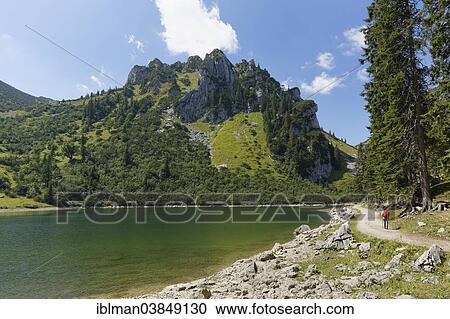 "Soinsee Lake and Mt Ruchenkopfe, Bayrischzell, Mangfall mountains, Upper Bavaria, Bavaria, Germany, Europe" View Large Photo Image Stock Image - "Soinsee Lake and Mt Ruchenkopfe, Bayrischzell, Mangfall mountains, Upper Bavaria, Bavaria, Germany, Europe". Fotosearch