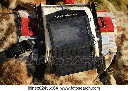 "Solar charger attached to a llama, llama tour, Upper Lienz, Puster Valley, East Tyrol, Austria, Europe" View Large Photo Image Picture - "Solar charger attached to a llama, llama tour, Upper Lienz, Puster Valley, East Tyrol, Austria, Europe". Fotosearch