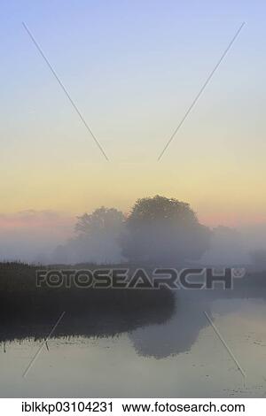 "Solitary oak trees in the morning mist beside a lake, wetland landscape at sunrise, NSG Pelze, Dessau-Worlitz, Saxony-Anhalt, Germany, Europe" View Large Photo Image Stock Image - "Solitary oak trees in the morning mist beside a lake, wetland landscape at sunrise, NSG Pelze, Dessau-Worlitz, Saxony-Anhalt, Germany, Europe". Fotosearch