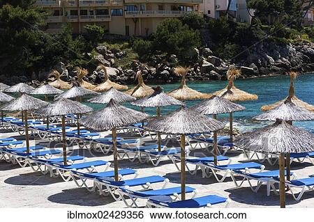 "Sonnenschrime, Sant Elm, municipality of Andratx, Sant Elm, Mallorca, Balearic Islands, Mediterranean Sea, Spain, Europe" View Large Photo Image Stock Photograph - "Sonnenschrime, Sant Elm, municipality of Andratx, Sant Elm, Mallorca, Balearic Islands, Mediterranean Sea, Spain, Europe". Fotosearch