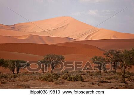 "Sossusvlei dunes in the morning light, Namib-Naukluft National Park‬, Namib Desert, Namibia, Africa" View Large Photo Image Stock Image - "Sossusvlei dunes in the morning light, Namib-Naukluft National Park‬, Namib Desert, Namibia, Africa". Fotosearch