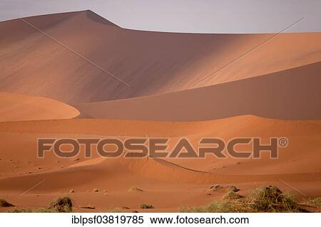 "Sossusvlei dunes in the morning light, Namib-Naukluft National Park, Namib Desert, Namibia, Africa" View Large Photo Image Stock Photography - "Sossusvlei dunes in the morning light, Namib-Naukluft National Park, Namib Desert, Namibia, Africa". Fotosearch