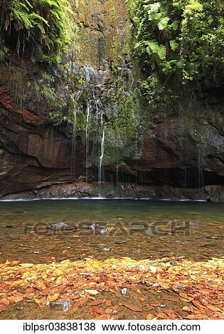 "Source of the Rabacal River, Madeira, Portugal, Europe" View Large Photo Image Stock Photo - "Source of the Rabacal River, Madeira, Portugal, Europe". Fotosearch