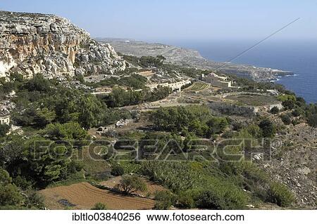 "South coast at Dingli Cliffs, Malta, Europe" View Large Photo Image Stock Photograph - "South coast at Dingli Cliffs, Malta, Europe". Fotosearch