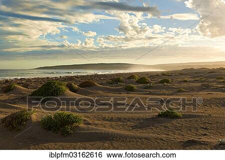 "Southern coastline and small sand dunes, Augusta, Western Australia" View Large Photo Image Stock Photograph - "Southern coastline and small sand dunes, Augusta, Western Australia". Fotosearch