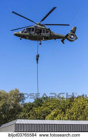 "Special police forces of the NRW Police, SEK, a SEK-policeman descending by fast-roping on a thick rope from a Eurocopter EC 155 helicopter onto a building, Bork, Selm, North Rhine-Westphalia, Germany, Europe" View Large Photo Image Picture - "Special police forces of the NRW Police, SEK, a SEK-policeman descending by fast-roping on a thick rope from a Eurocopter EC 155 helicopter onto a building, Bork, Selm, North Rhine-Westphalia, Germany, Europe". Fotosearch