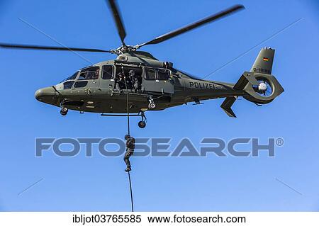 "Special police forces of the NRW Police, SEK, a SEK-policeman descending by fast-roping on a thick rope from a Eurocopter EC 155 helicopter onto a building, North Rhine-Westphalia, Germany, Europe" View Large Photo Image Stock Photography - "Special police forces of the NRW Police, SEK, a SEK-policeman descending by fast-roping on a thick rope from a Eurocopter EC 155 helicopter onto a building, North Rhine-Westphalia, Germany, Europe". Fotosearch