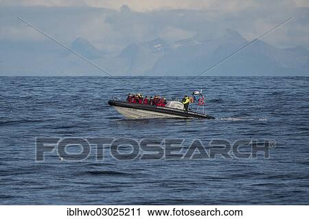 "Speed? Çï? Çïboat with tourists on a whale watching tour, Insel Andoya/ Atlantikkuste, Inselgruppe Vesteralen, Nordland, Northern Norway, Norway, Europe" View Large Photo Image Stock Image - "Speed? Çï? Çïboat with tourists on a whale watching tour, Insel Andoya/ Atlantikkuste, Inselgruppe Vesteralen, Nordland, Northern Norway, Norway, Europe". Fotosearch