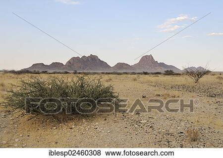 "Spitzkoppe, morning mist, Namib Desert, Namibia, Africa" View Large Photo Image Stock Photo - "Spitzkoppe, morning mist, Namib Desert, Namibia, Africa". Fotosearch
