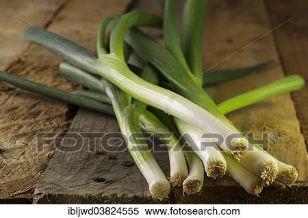 Spring Onions View Large Photo Image Stock Photography - Spring Onions. Fotosearch