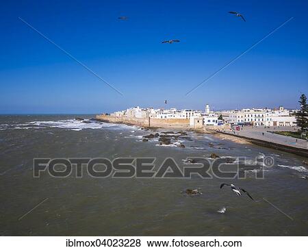 "Sqala de la Kasbah, Malecon the historic centre of Essaouira, Place Moulay Hassan, Unesco World Heritage Site, Morocco, Africa" View Large Photo Image Stock Photo - "Sqala de la Kasbah, Malecon the historic centre of Essaouira, Place Moulay Hassan, Unesco World Heritage Site, Morocco, Africa". Fotosearch