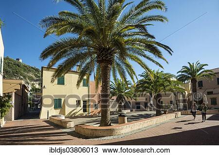 "Square with palm trees, Varigotti, Finale Ligure, Liguria, Italy, Europe" View Large Photo Image Stock Image - "Square with palm trees, Varigotti, Finale Ligure, Liguria, Italy, Europe". Fotosearch