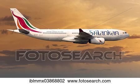 SriLankan Airlines Airbus A330-243 in flight View Large Photo Image Stock Image - SriLankan Airlines Airbus A330-243 in flight. Fotosearch