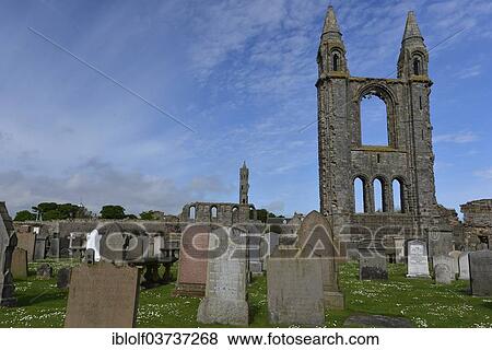 "St Andrews Cathedral and cemetery, St Andrews, Fife, Scotland, United Kingdom, Europe" View Large Photo Image Stock Photo - "St Andrews Cathedral and cemetery, St Andrews, Fife, Scotland, United Kingdom, Europe". Fotosearch