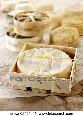 "St Aubin, Banon and Chevre, traditional French regional cheeses" View Large Photo Image Stock Photography - "St Aubin, Banon and Chevre, traditional French regional cheeses". Fotosearch