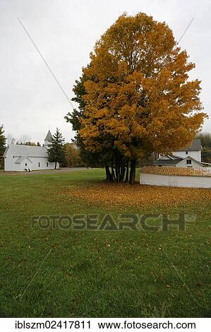 Stock Image - St Brendan's Catholic Church, Keene Valley, Adirondacks, Upstate New York, USA. Fotosearch