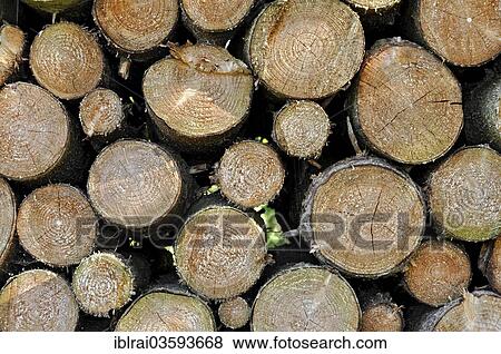 "Stack of firewood, Anzing, Upper Bavaria, Bavaria, Germany, Europe" View Large Photo Image Stock Photo - "Stack of firewood, Anzing, Upper Bavaria, Bavaria, Germany, Europe". Fotosearch