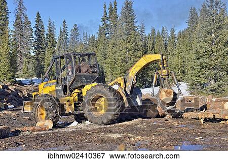"Stack of logs with heavy equipment, bulldozer, Highway 65, Grand Mesa National Forest, Colorado, USA" View Large Photo Image Stock Photo - "Stack of logs with heavy equipment, bulldozer, Highway 65, Grand Mesa National Forest, Colorado, USA". Fotosearch