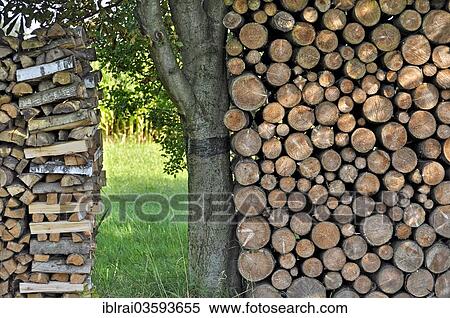 "Stack of wooden logs, firewood, Anzing, Upper Bavaria, Bavaria, Germany, Europe" View Large Photo Image Stock Photography - "Stack of wooden logs, firewood, Anzing, Upper Bavaria, Bavaria, Germany, Europe". Fotosearch