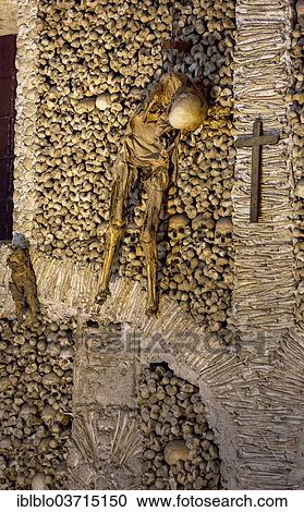 "Stacked bones and skulls in the ossuary, Capela dos ossos parede, chapel of the bones, bones chapel, Evora, Evora District, Portugal, Europe" View Large Photo Image Stock Image - "Stacked bones and skulls in the ossuary, Capela dos ossos parede, chapel of the bones, bones chapel, Evora, Evora District, Portugal, Europe". Fotosearch