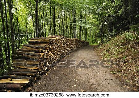 Stock Photo - "Stacked split wood in a forest, Ottenhofen im Schwarzwald, Black Forest, Baden-Wurttemberg, Germany, Europe". Fotosearch