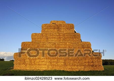 "Stacked square bales of straw in a field, Othenstorf, Mecklenburg-Western Pomerania, Germany, Europe, PublicGround, Europe" View Large Photo Image Stock Image - "Stacked square bales of straw in a field, Othenstorf, Mecklenburg-Western Pomerania, Germany, Europe, PublicGround, Europe". Fotosearch