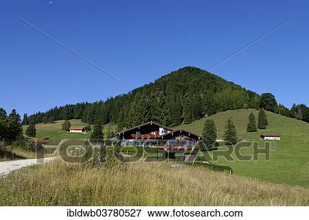 "Staffenalm on Grossstaffen, ​​Chiemgau, Upper Bavaria, Bavaria, Germany, Europe" View Large Photo Image Stock Photo - "Staffenalm on Grossstaffen, ​​Chiemgau, Upper Bavaria, Bavaria, Germany, Europe". Fotosearch