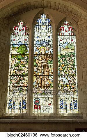 "Stained glass window dedicated to St Francis in Saint Mary's Church, Selborne, Hampshire, United Kingdom, Europe" View Large Photo Image Stock Photograph - "Stained glass window dedicated to St Francis in Saint Mary's Church, Selborne, Hampshire, United Kingdom, Europe". Fotosearch