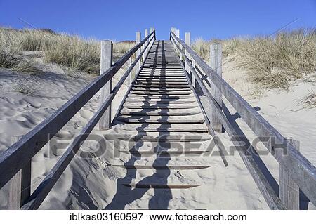 Stock Photo - "Staircase in the dunes, North Sea beach, Zoutelande, Zeeland province, The Netherlands, Europe". Fotosearch
